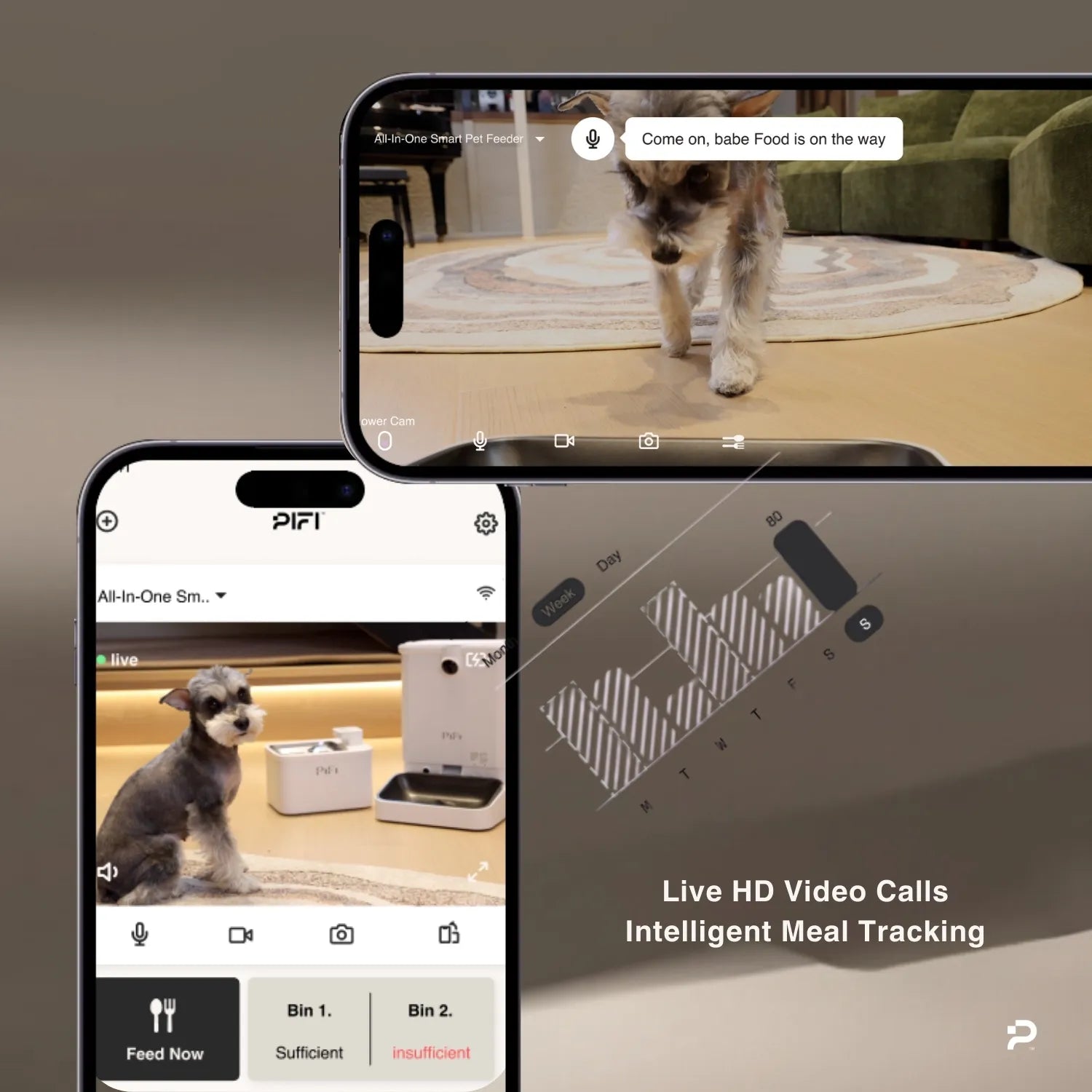 All-in-One Smart Pet Feeder