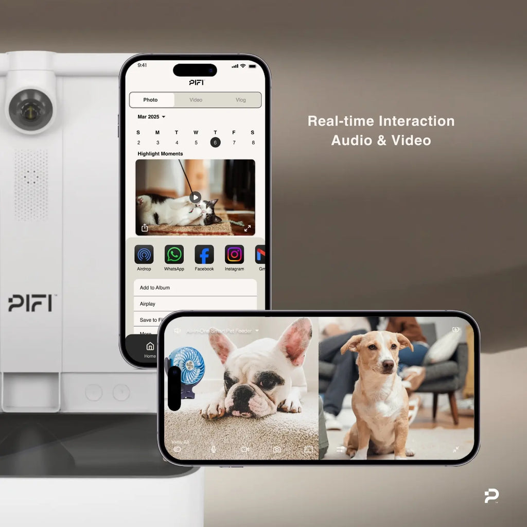 All-in-One Smart Pet Feeder